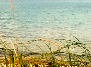 IMG_20160816_170946.jpg