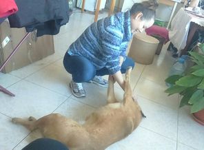 image-0-02-05-eebcd94aad528b44badfe56d478d182442b28a0acb1d7c9a7e9eadb8a9024684-V