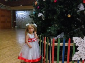 IMG_2015-12-26_174211_HDR