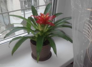 20150816_093541