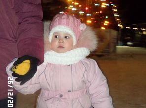 SAM_2535