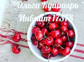 IMG_20160831_000642