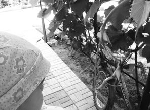 IMG_20160722_234127