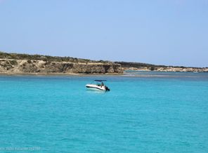 IMG_4925
