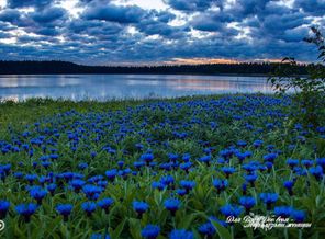 IMG_20160615_143400_1
