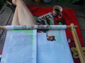 IMG_20160703_094356