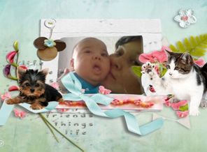 PhotoFrame_1449781688918