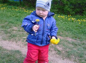 IMG_20160507_113912