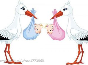 122070785_aist2
