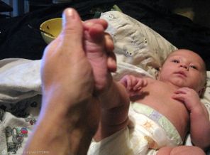 Лапы для папы