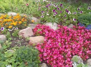 IMG_20150726_112707