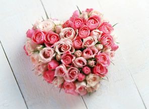 14_february