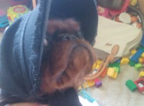 IMG-20160413-WA0019