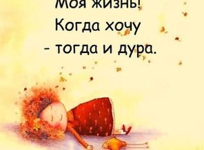 IMG_20161105_225917_0