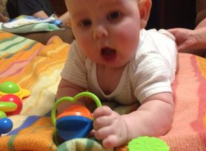 IMG-20160221-WA0019