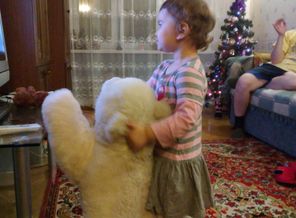 Лучшее приготовление-это мультики