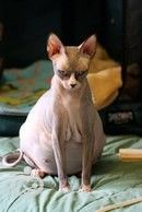 hw0cOf6daXI