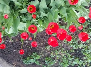 20160504_122738