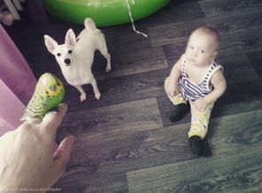 IMG_20160304_133615