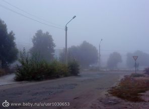 утренний туман