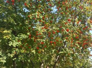 20160930_133525