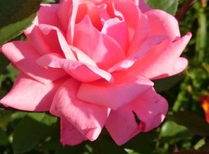 IMG_20160805_010758