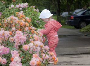 IMG_8881_1