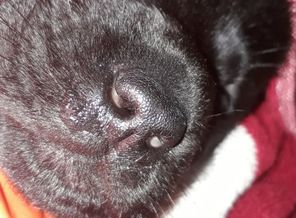 IMG-20170327-WA0000