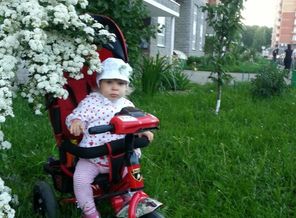 IMG-20160525-WA0000