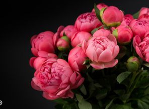 IMG_7899@2x