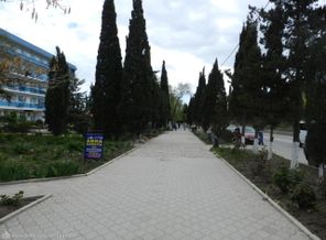 DSCN3113