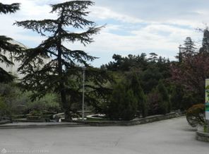 DSCN3117