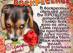IMG_20160313_121334_0