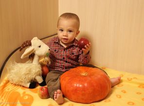 Урожай у нас в порядке! Тыква с бабушкиной грядки, яблоки принес из сада. Вся семья им будет рада!