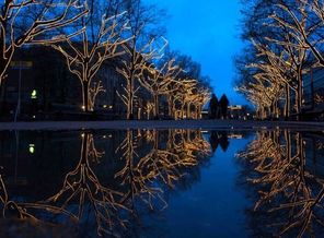 IMG_20151208_185843_5