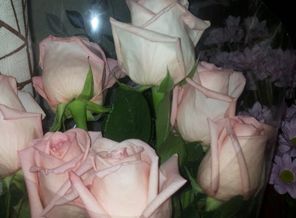 20150604_122038