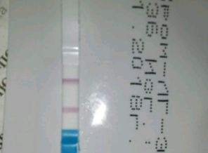 004f25ee2a492a07f25deadd6c24c67d01f.310