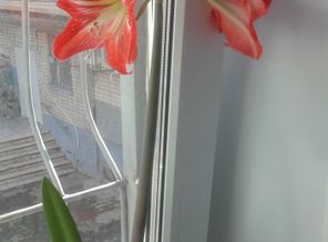 20150319_142801