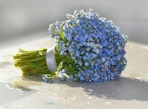 image-f88164aebbf3d182c562f5d9e27acad89fc9105c07c740fb7b352874d6d31695-V