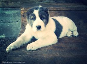 photofacefun_com_1463321303