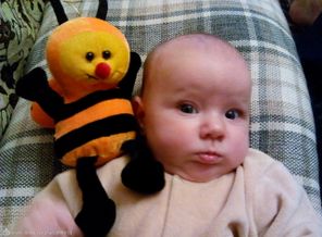 IMG_20160411_155505