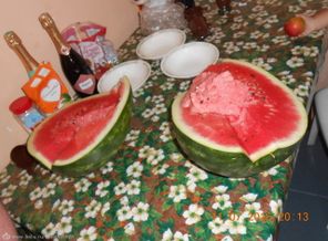 DSCN4970