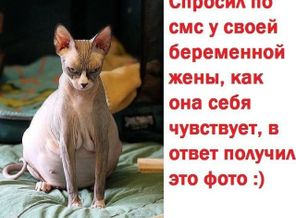 17185