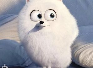 lSYrbsTqzOQ