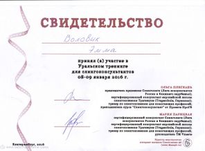 Третий уральский Треннинг для слингоконсультантов. Продвинутый уровень.