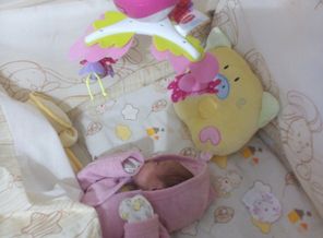 IMG_20151003_103727
