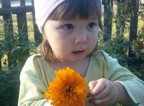 image-a2bcd80b6408711eef31baf1017f60a69a99d7d7eca212ed84305f81a17132d3-V