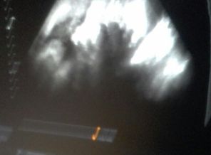 image-0-02-05-082fec139085a90e7f061cad50733e701a9dedf843a3d49460a8a9c392b1f8a5-V