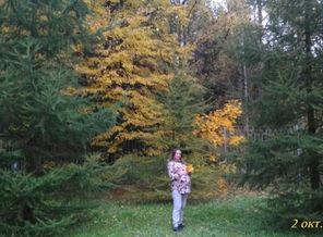 IMG-1474900596021-V