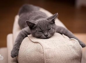 IMG_20160511_152648_26